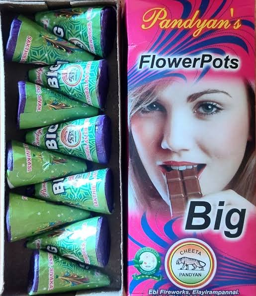FLOWER POTS BIG - (10 PCS)