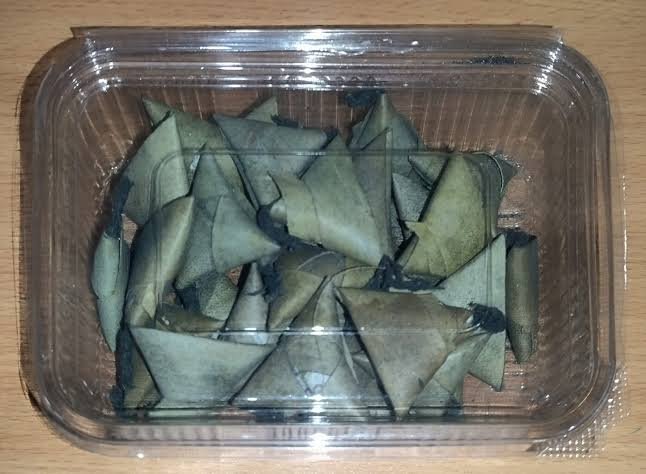 OLA VEDI (25 PCS)